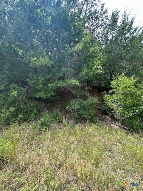 0.81 acres in Bastrop County gallery image 3