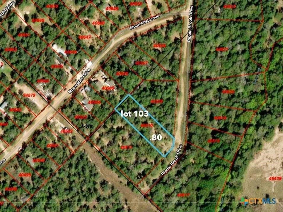 0.81 acres in Bastrop County