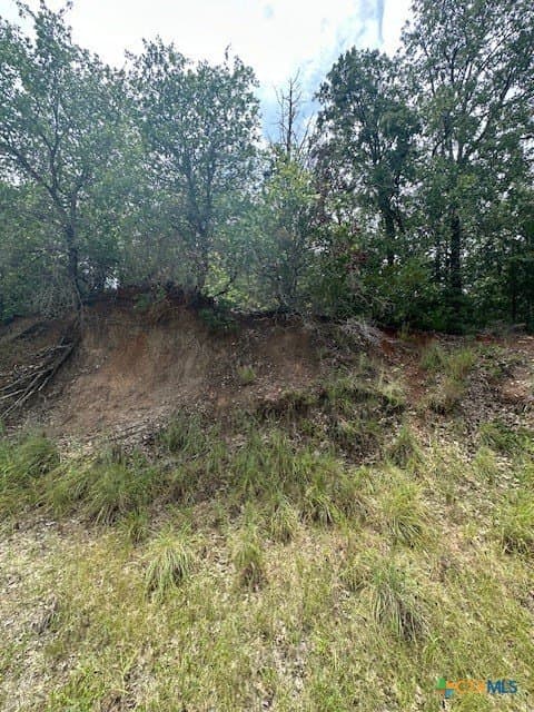 0.81 acres in Bastrop County gallery image 4