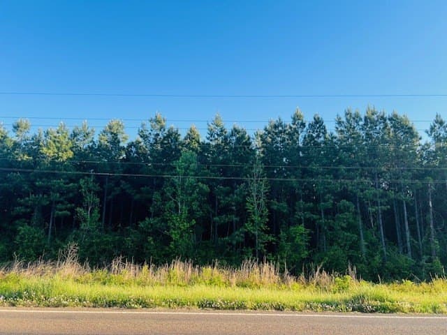 10 acres in Texas County gallery image 4