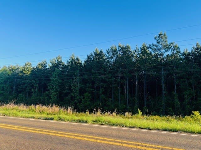 10 acres in Texas County gallery image 2