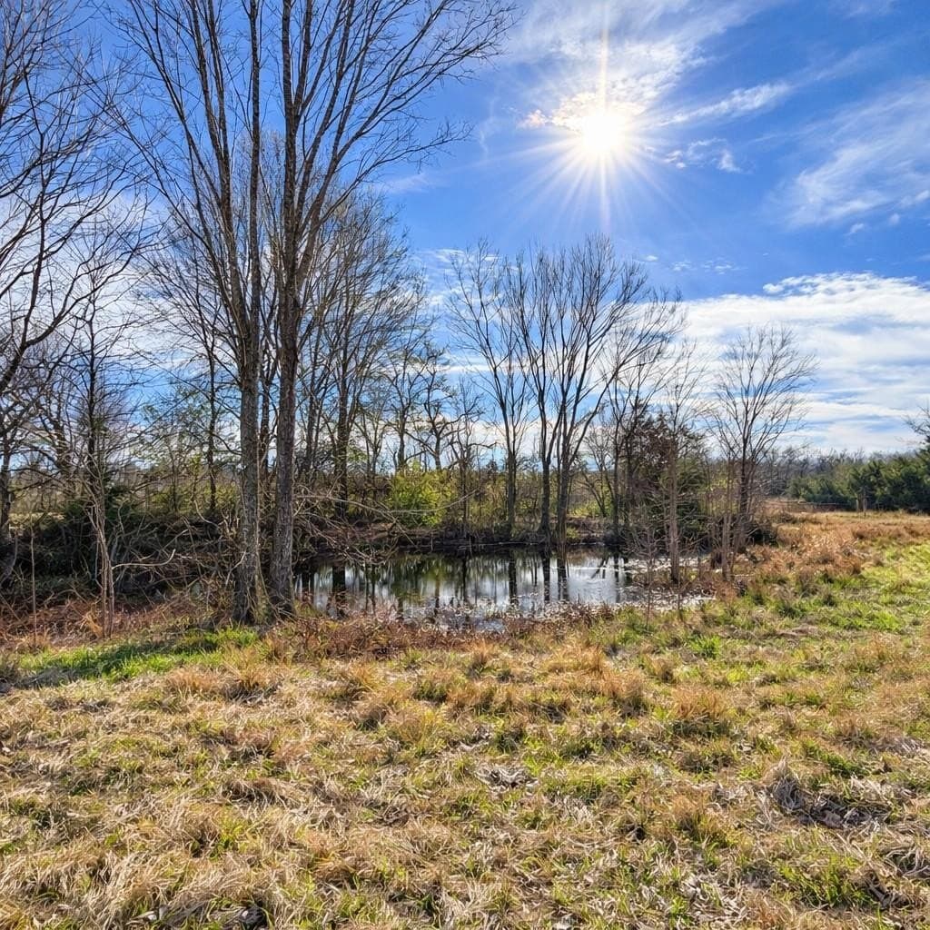 19.22 acres in Henderson County