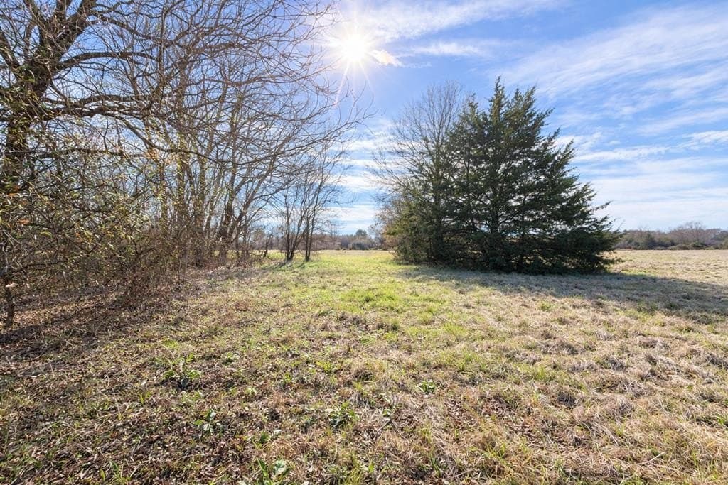 19.22 acres in Henderson County gallery image 4