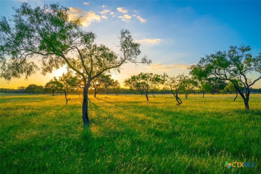10.83 acres in Blanco County gallery image 3