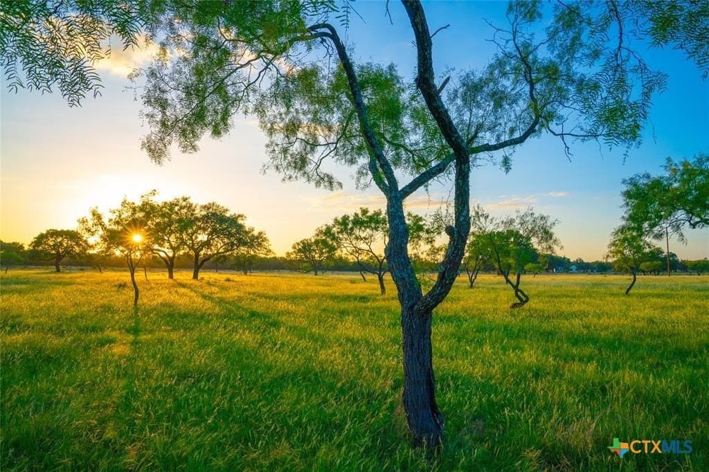 10.83 acres in Blanco County gallery image 4