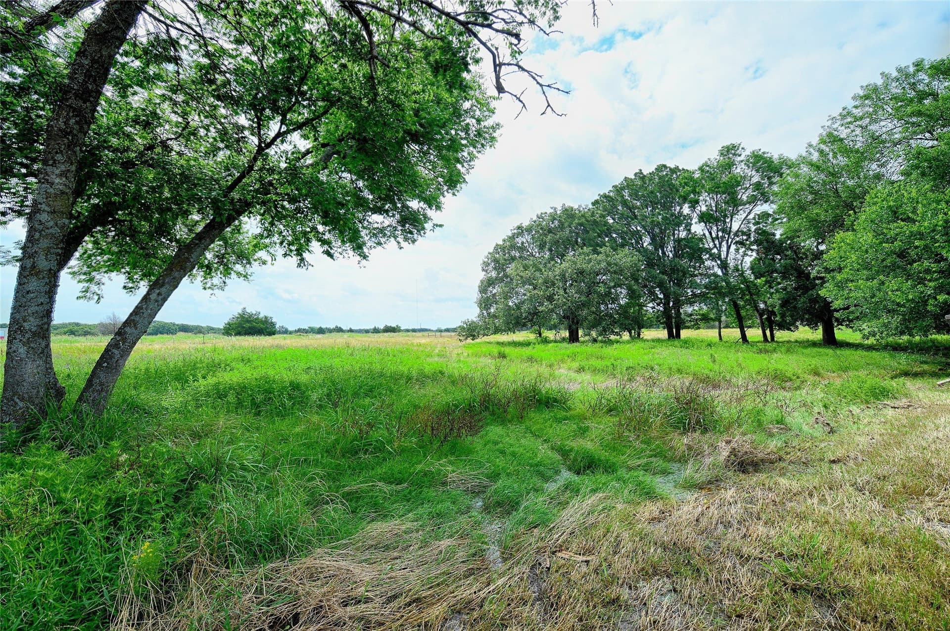 29.51 acres in Kaufman County - photo 33