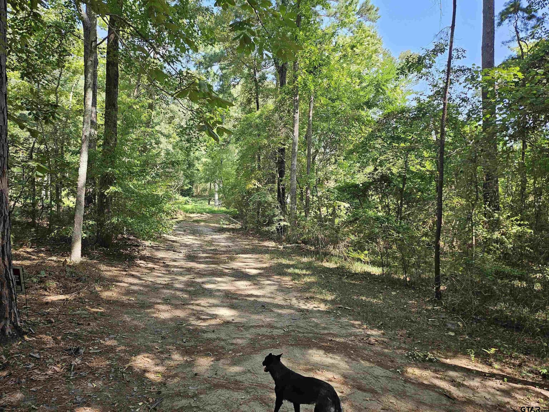 5 acres in Smith County - photo 7