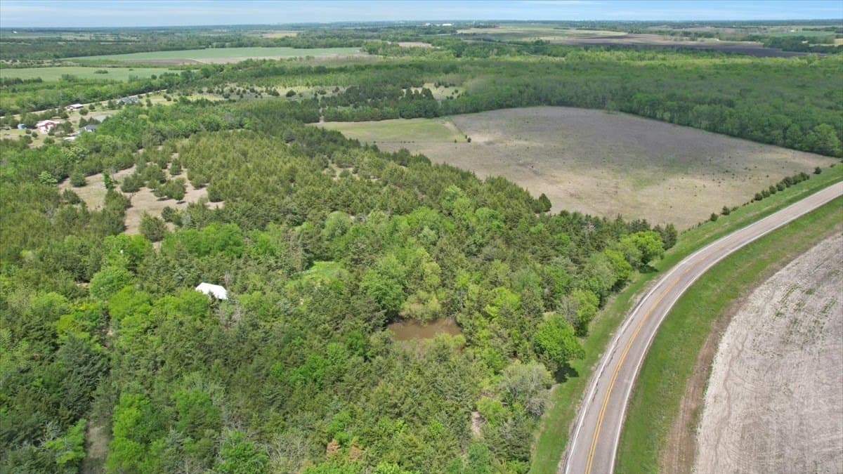 43.62 acres in Lamar County gallery image 3