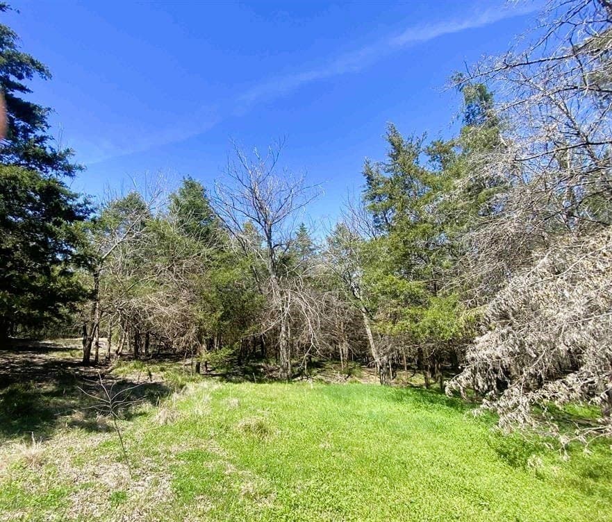 43.62 acres in Lamar County - photo 8