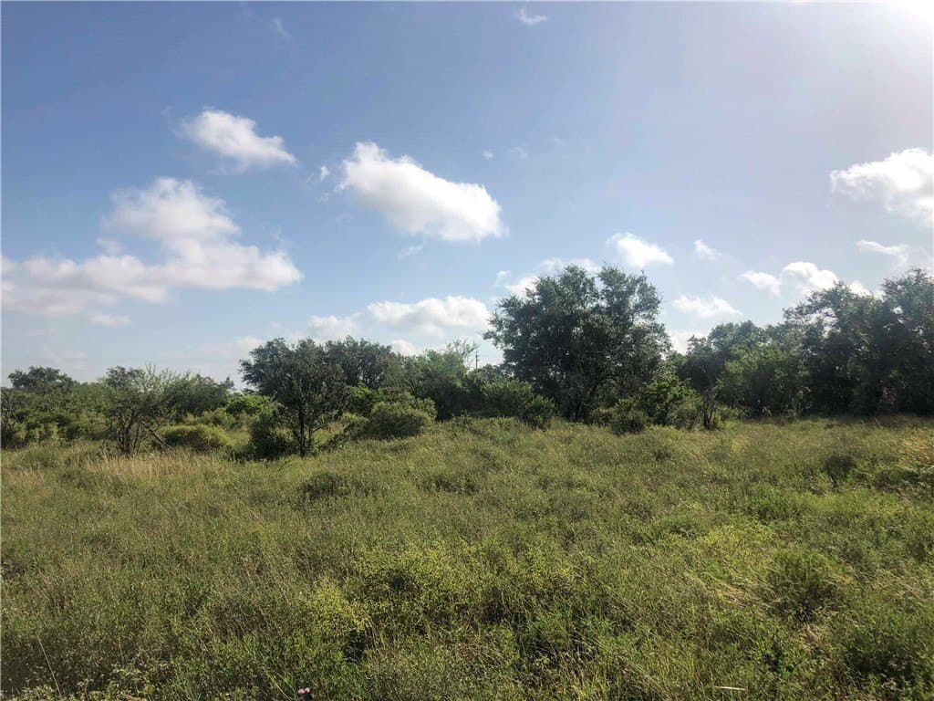 31.5 acres in Bee County - photo 4