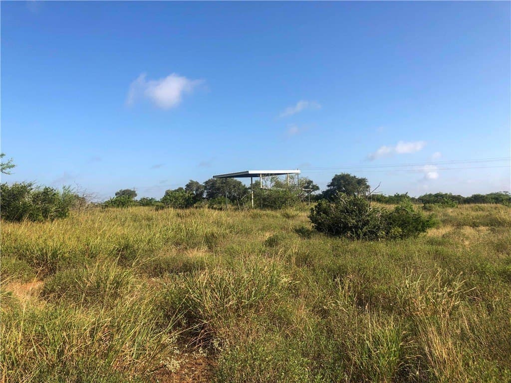 31.5 acres in Bee County - photo 8