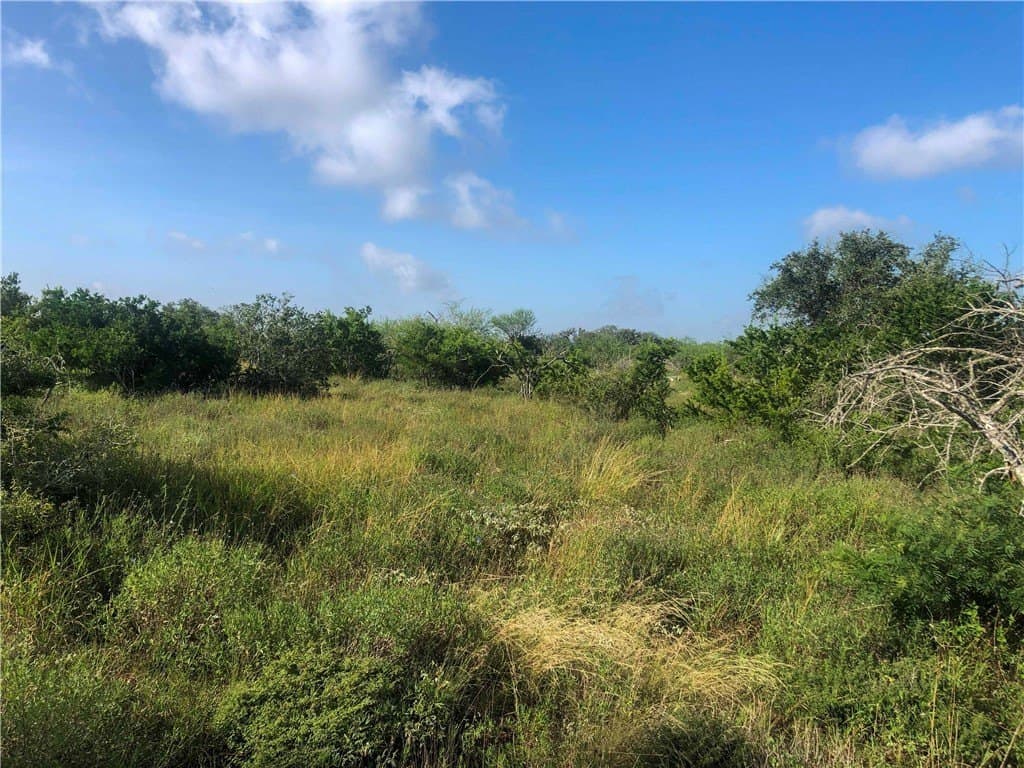 31.5 acres in Bee County - photo 5