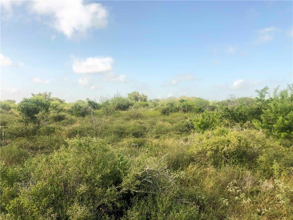 31.5 acres in Bee County - photo 2