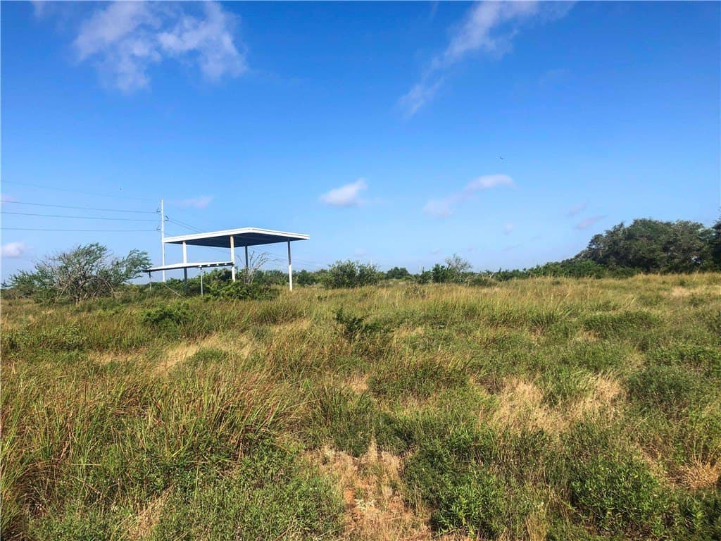 31.5 acres in Bee County - photo 9