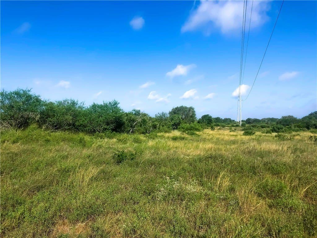 31.5 acres in Bee County - photo 3