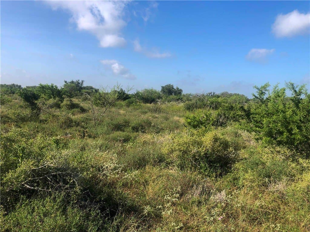 31.5 acres in Bee County - photo 7