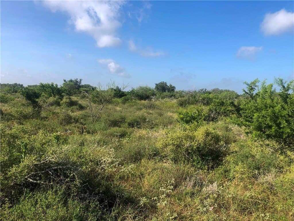 31.5 acres in Bee County - photo 6