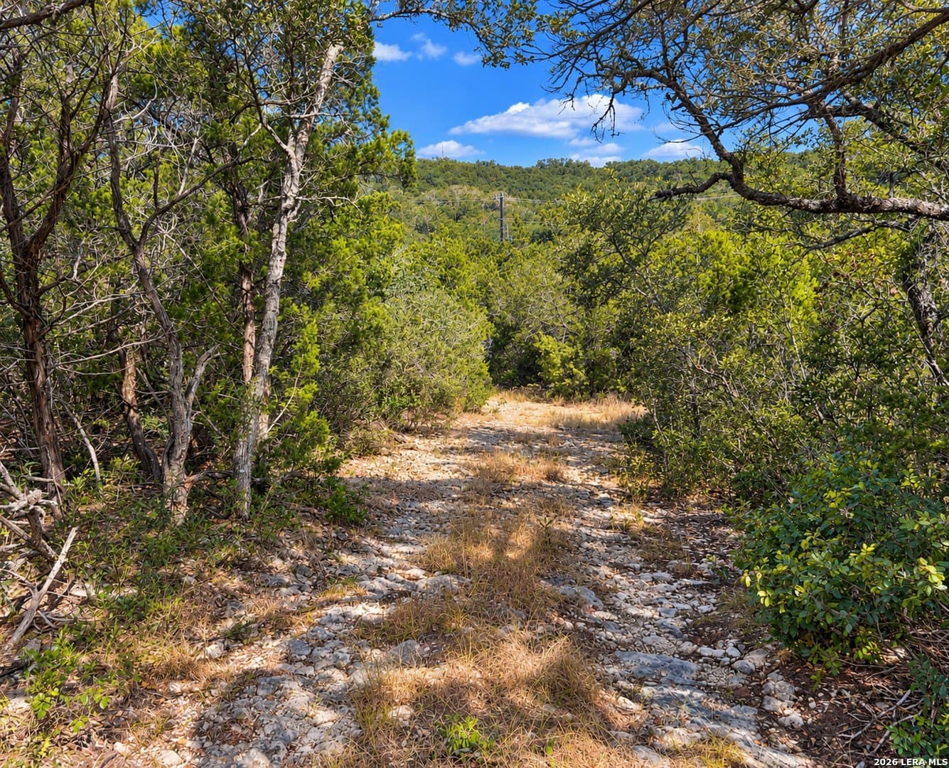 15.29 acres in Bexar County - photo 5