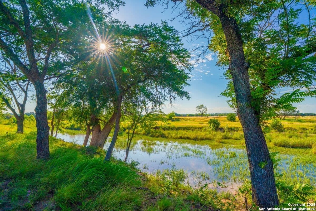 10.01 acres in Kendall County - photo 10