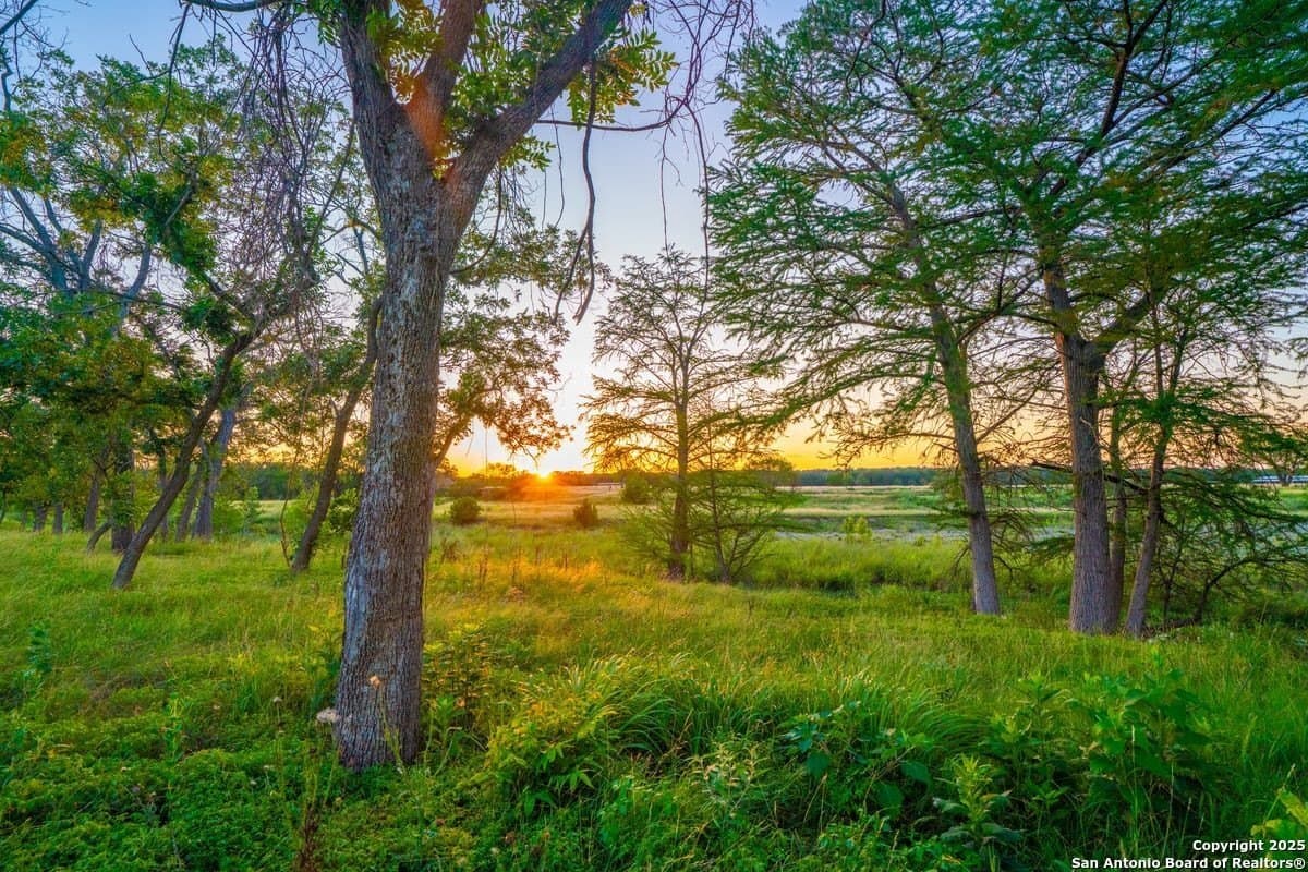 10.01 acres in Kendall County - photo 12