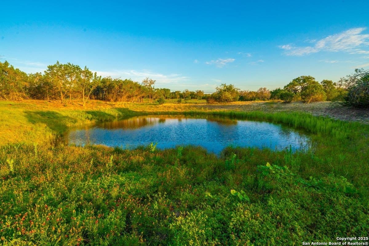 10.01 acres in Kendall County - photo 27