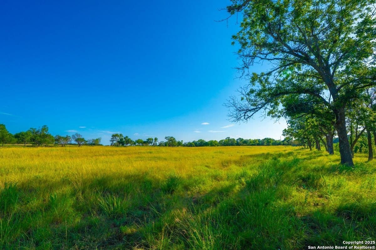 10.01 acres in Kendall County gallery image 4