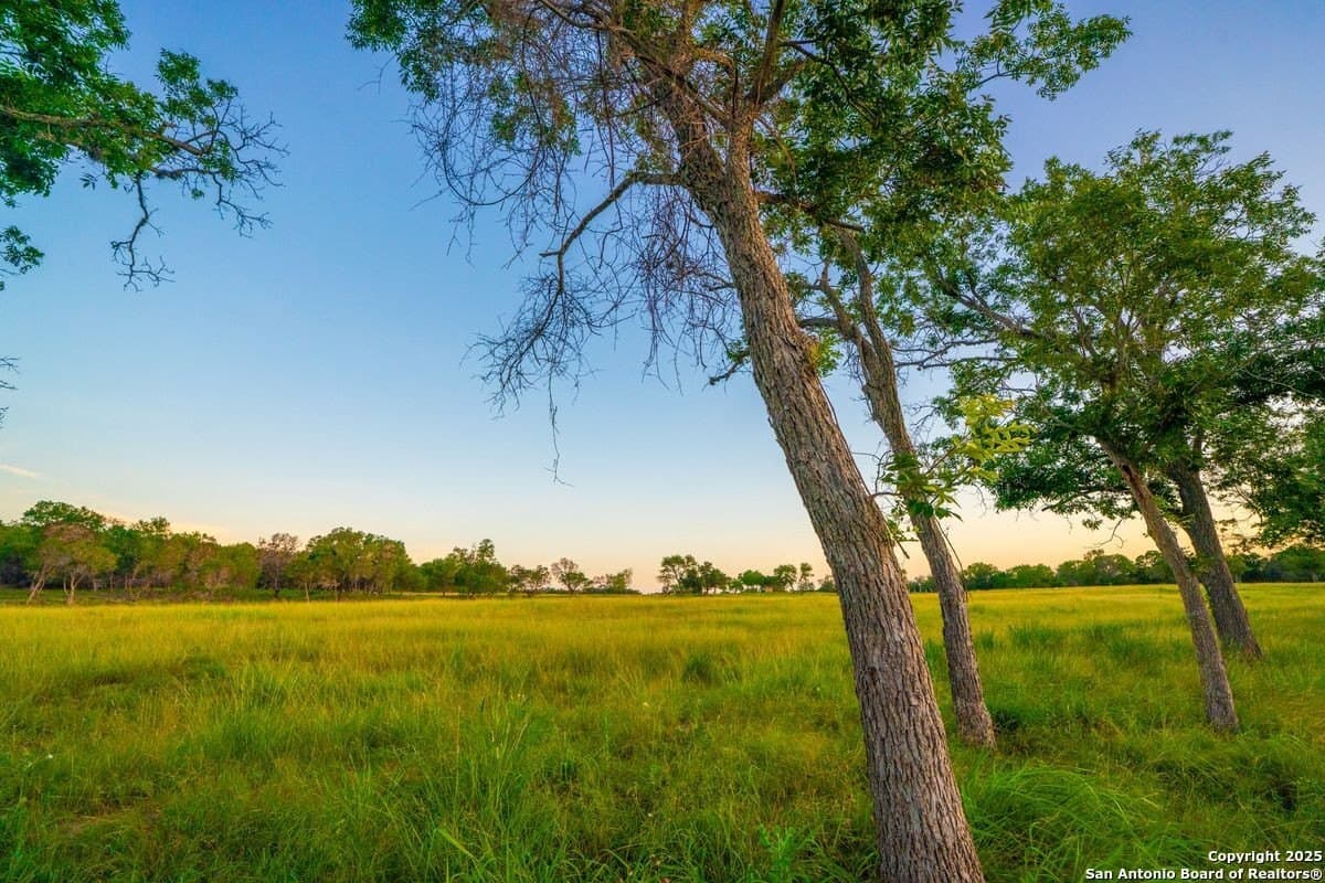 10.01 acres in Kendall County - photo 19