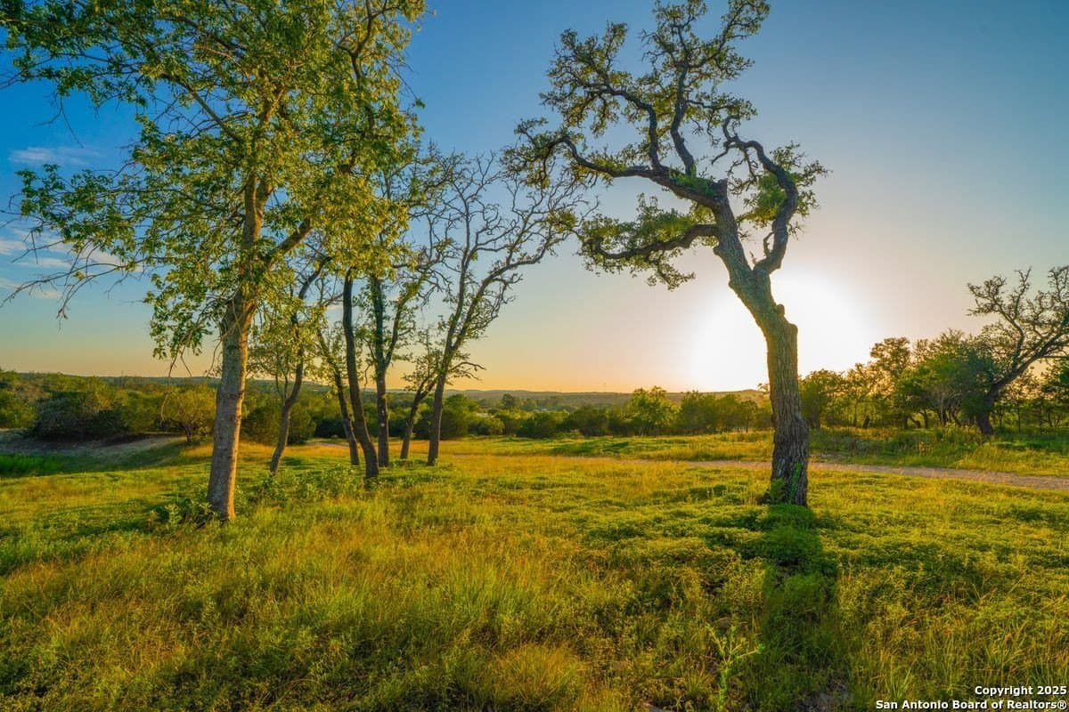 10.01 acres in Kendall County - photo 17