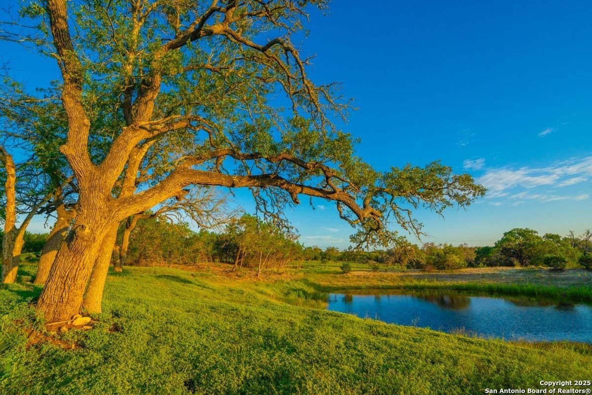 10.01 acres in Kendall County - photo 14