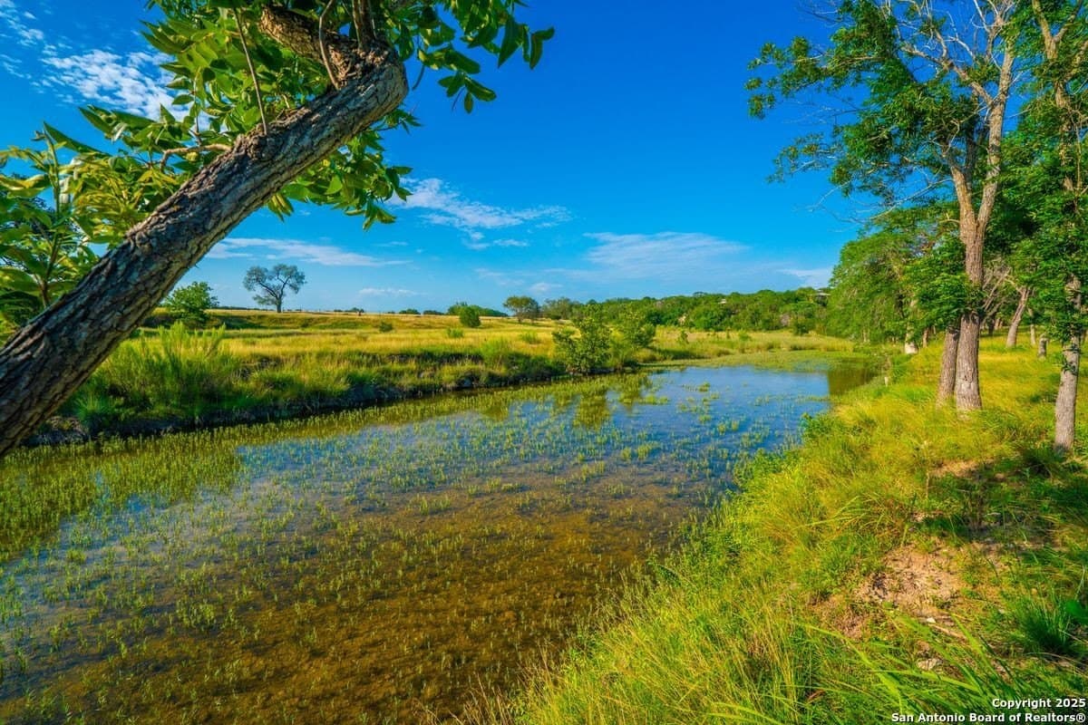 10.01 acres in Kendall County gallery image 3