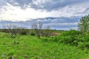 384 acres in Callahan County - photo 7
