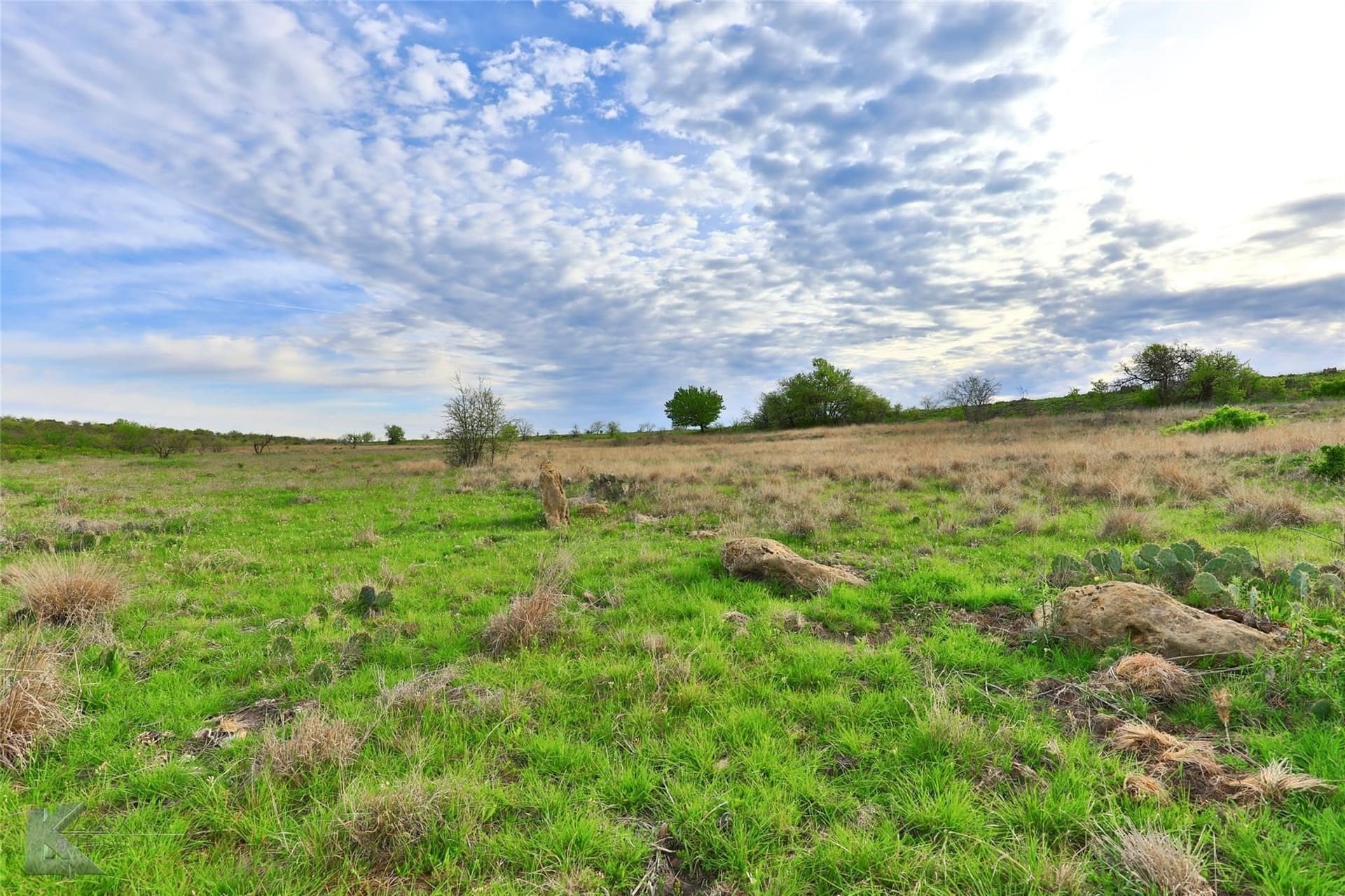384 acres in Callahan County - photo 8