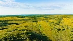 384 acres in Callahan County gallery image 3