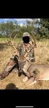 384 acres in Callahan County - photo 11