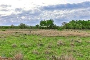 384 acres in Callahan County - photo 10