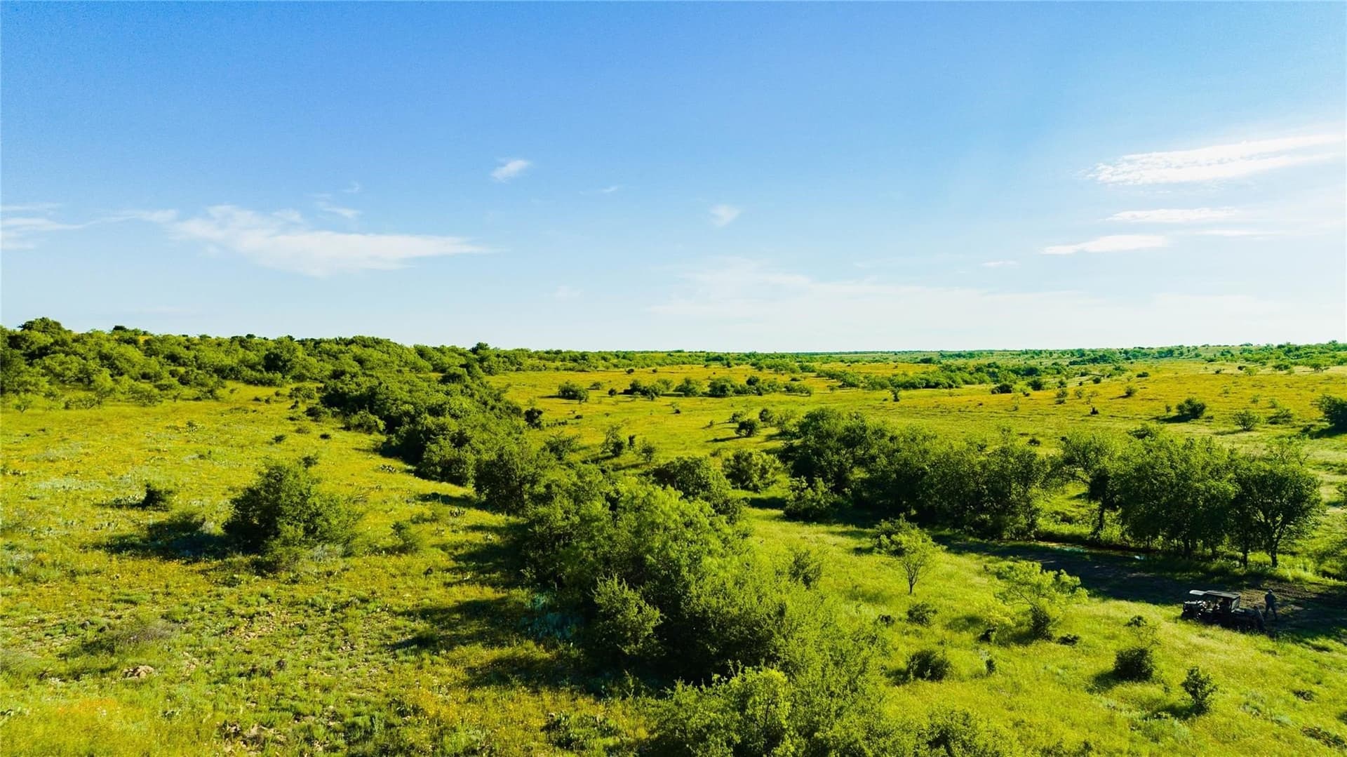 384 acres in Callahan County featured view