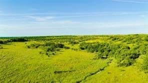 384 acres in Callahan County gallery image 4