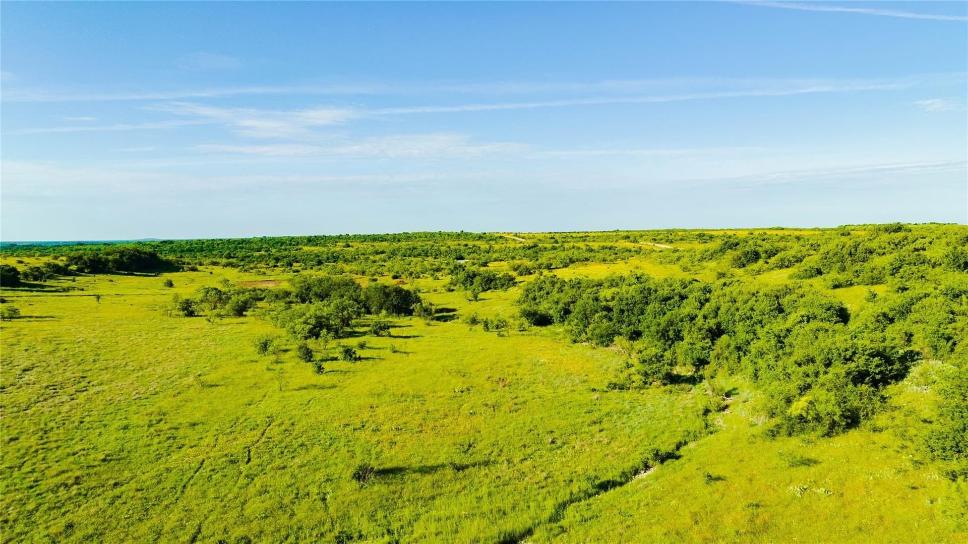 384 acres in Callahan County - photo 6