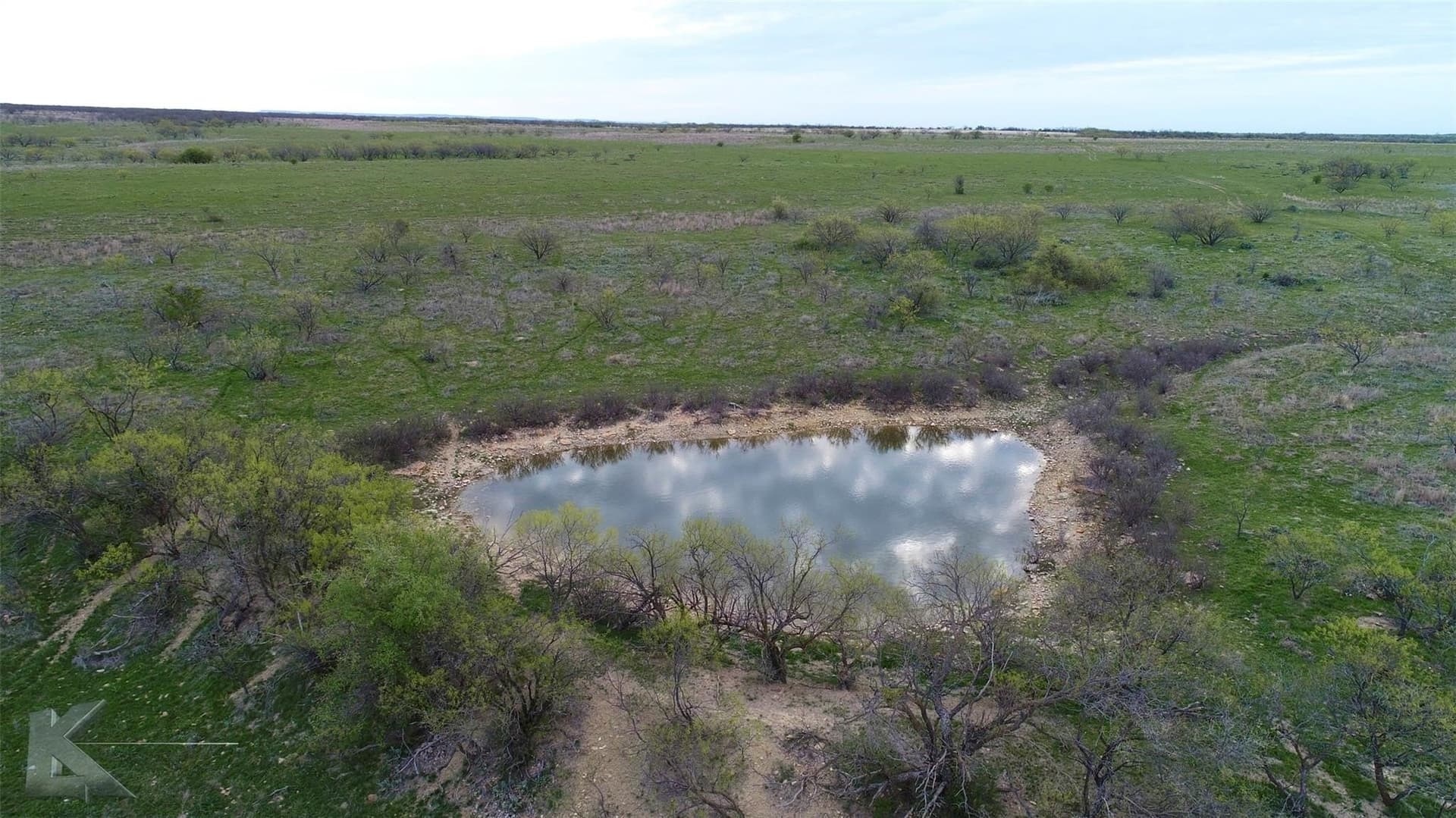 384 acres in Callahan County - photo 12