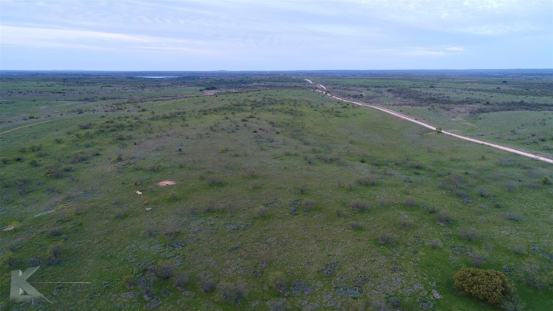 384 acres in Callahan County - photo 13