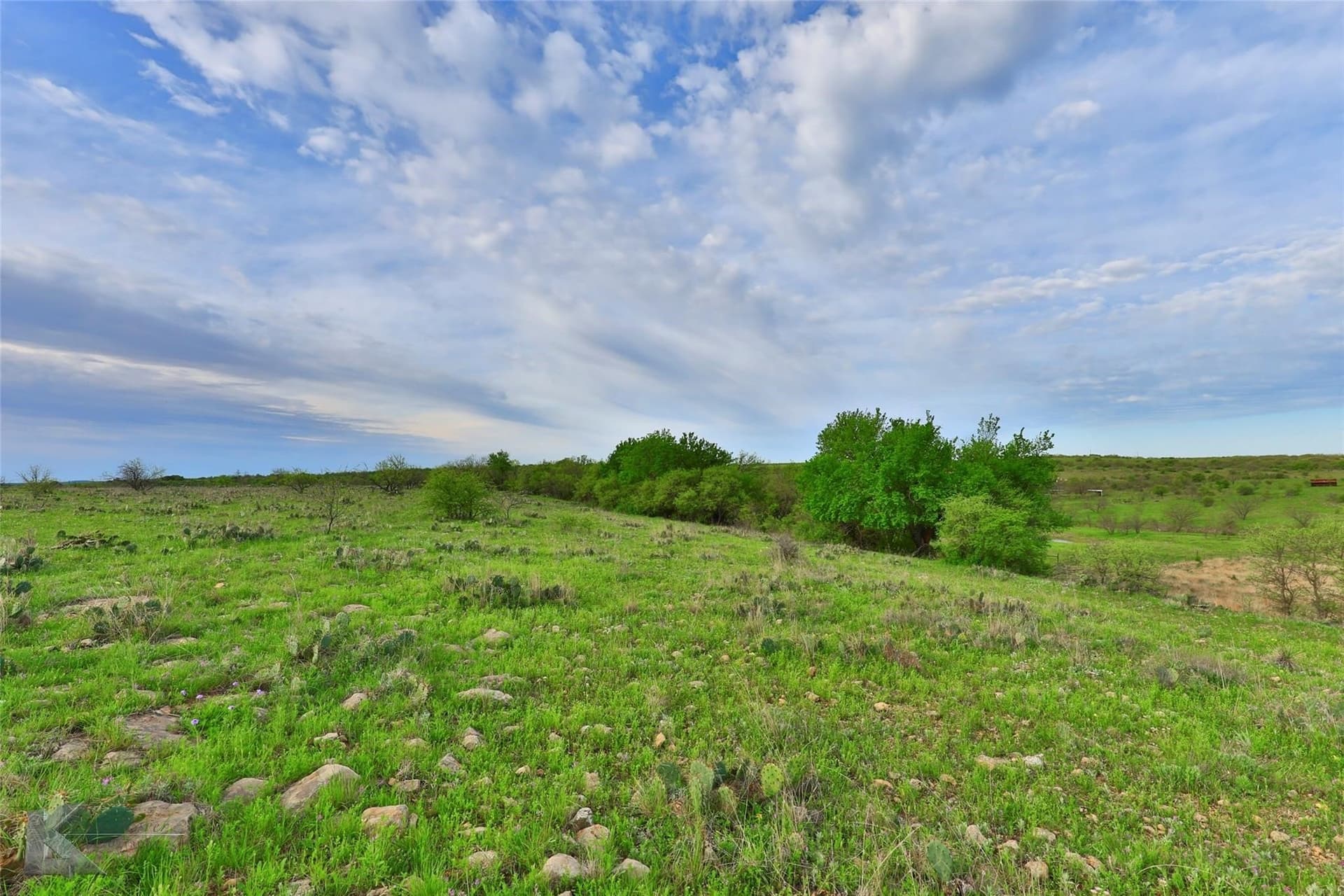 384 acres in Callahan County - photo 9