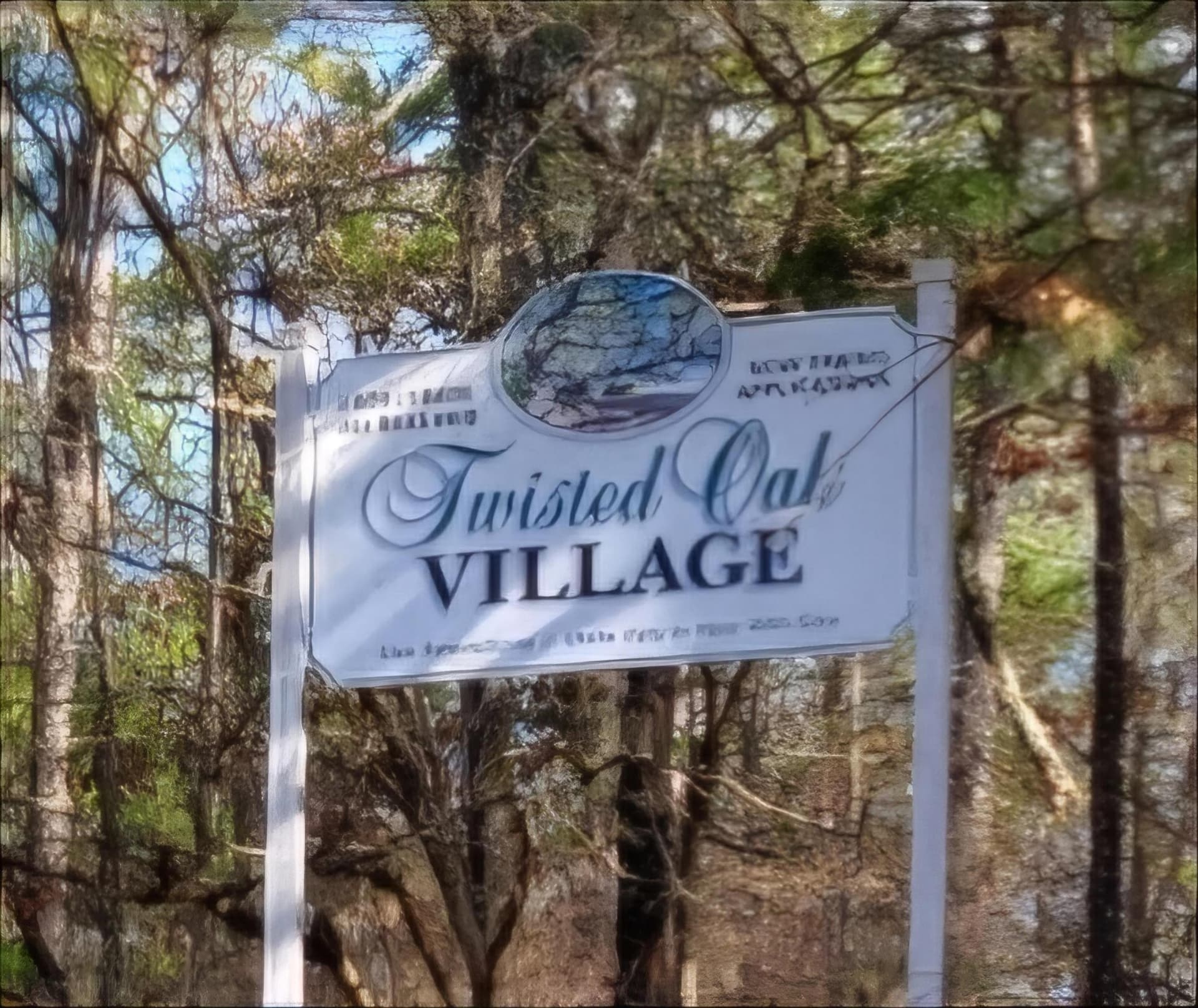 24.97 acres in Smith County - photo 40