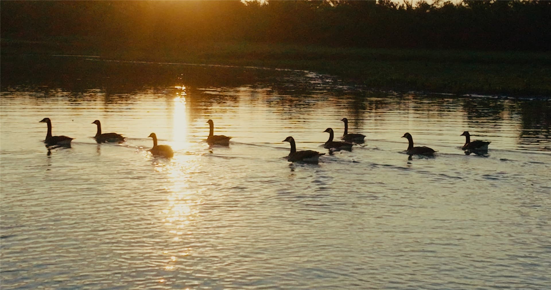 344 acres in Van Zandt County - photo 11