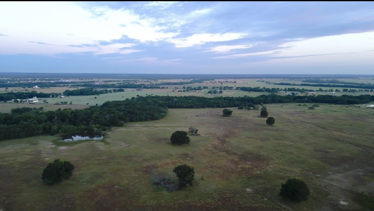 344 acres in Van Zandt County gallery image 3