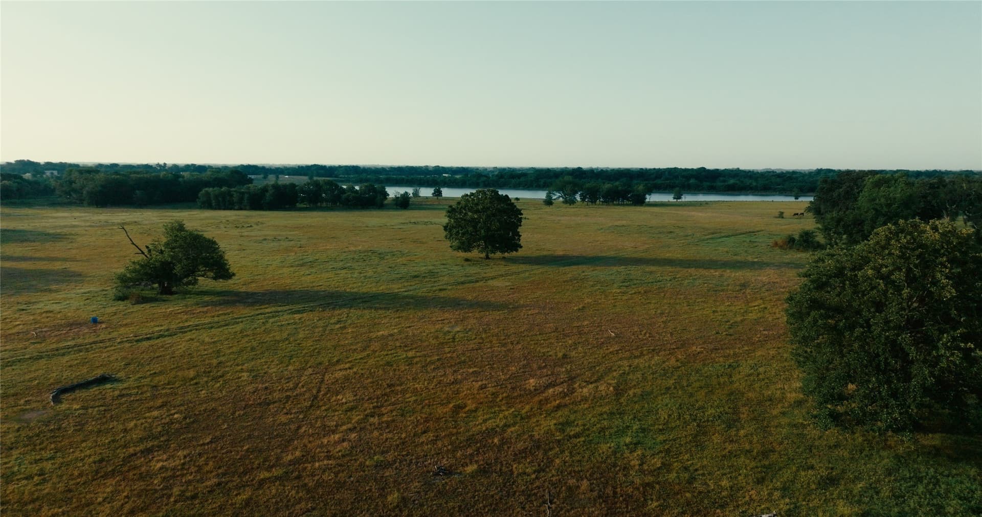344 acres in Van Zandt County gallery image 2