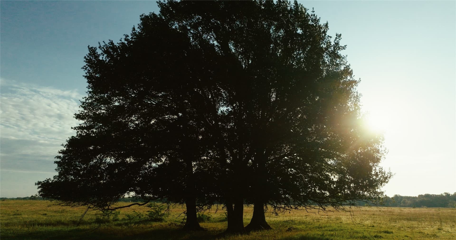344 acres in Van Zandt County gallery image 4