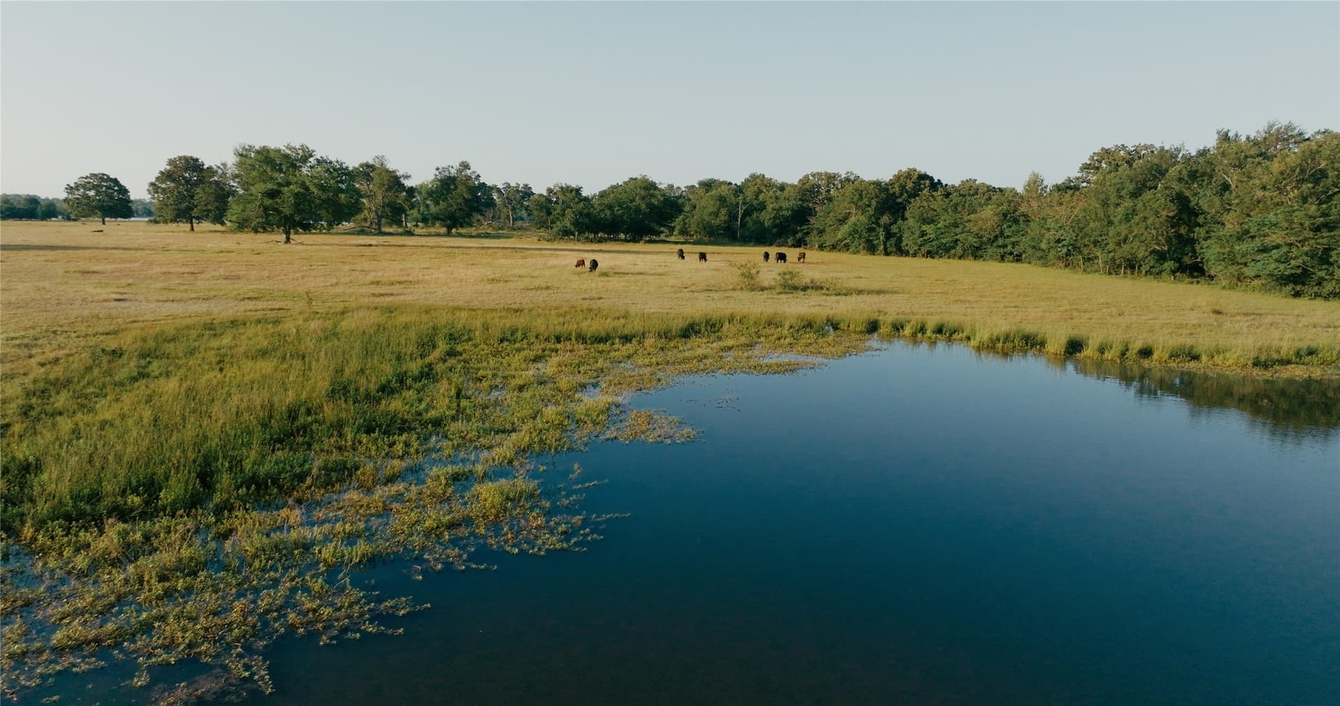 344 acres in Van Zandt County - photo 7