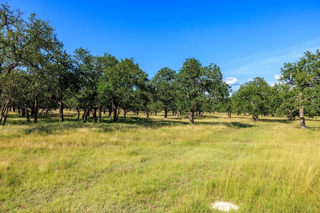 10 acres in Gillespie County