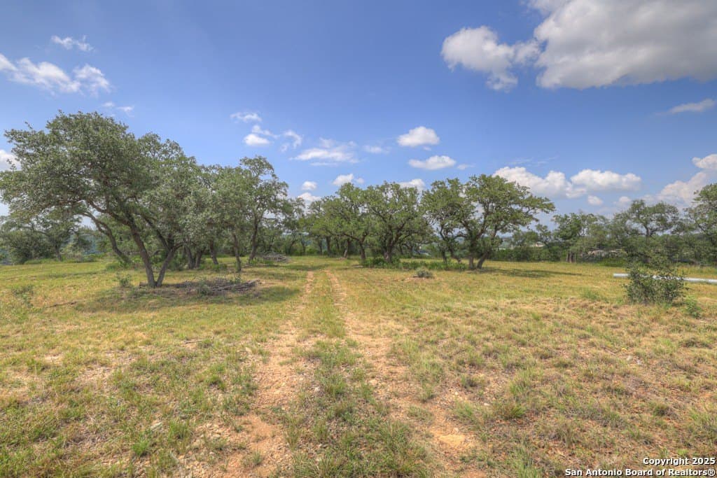 7.82 acres in Comal County - photo 12