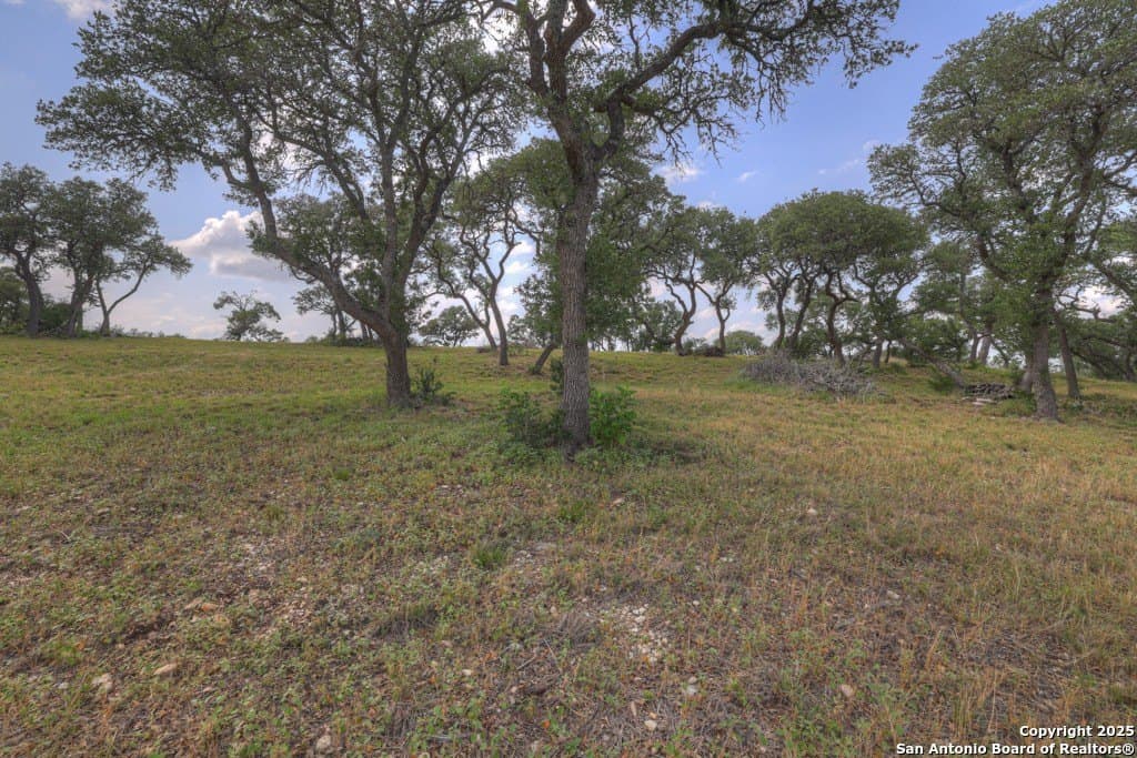 7.82 acres in Comal County - photo 10